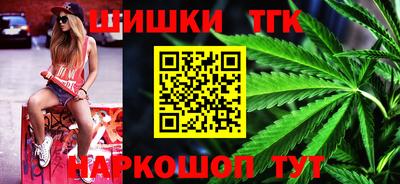 стафф Гатчина