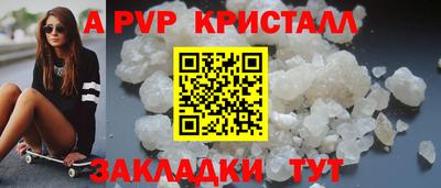 стафф Гатчина