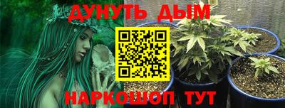мяу мяу мука Гагарин