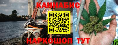 стафф Гатчина