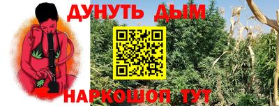 стафф Гатчина