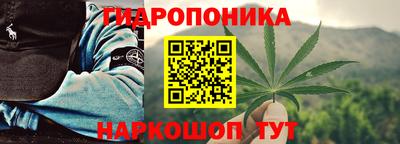 стафф Гатчина