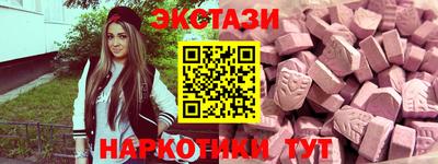 стафф Гатчина