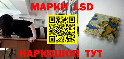 мяу мяу мука Гагарин