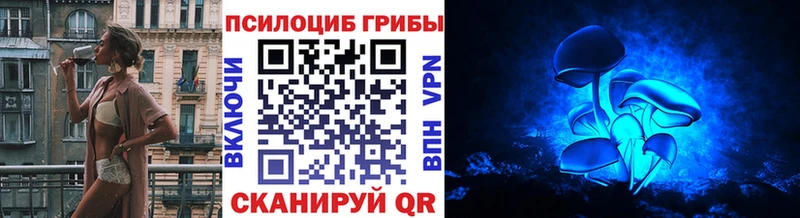 ОМГ ОМГ ТОР Новочебоксарск Галлюциногенные грибы ЛСД