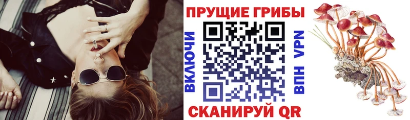 Псилоцибиновые грибы прущие грибы Новочебоксарск