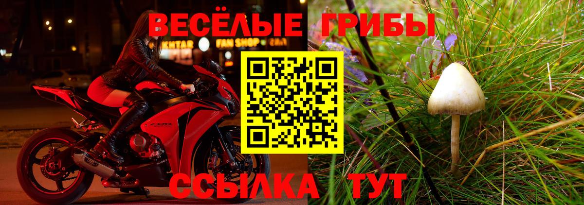 Псилоцибиновые грибы Magic Shrooms  Новочебоксарск  Галлюциногенные грибы Psilocybe 