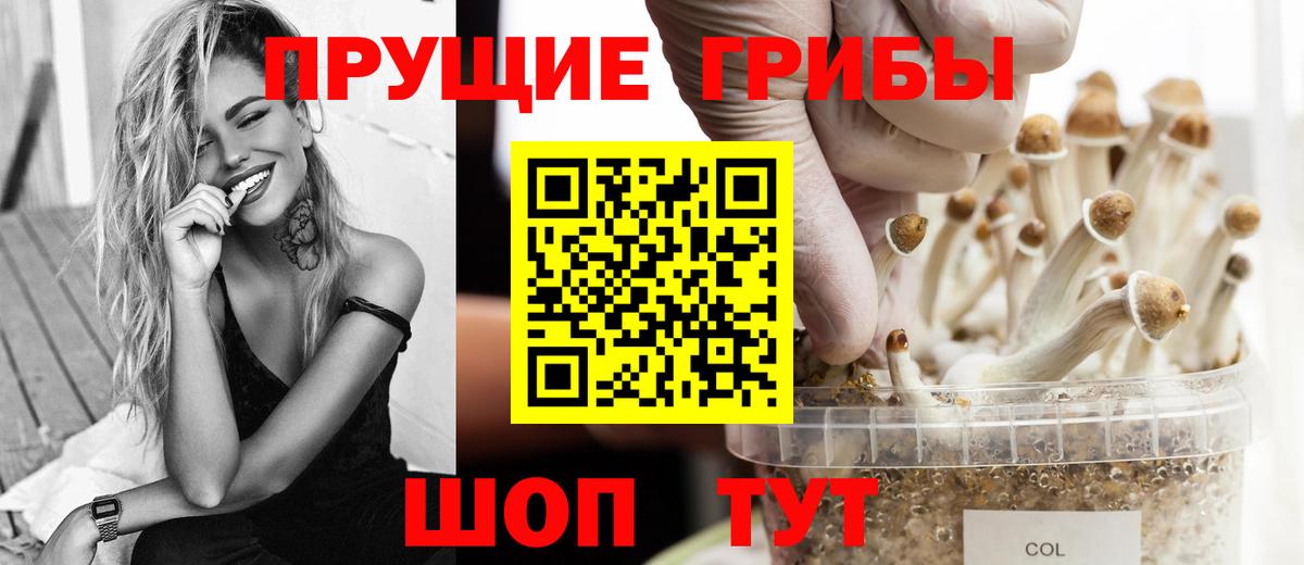 Псилоцибиновые грибы мухоморы  Псилоцибиновые грибы Magic Shrooms  Новочебоксарск  Вход с VPN 