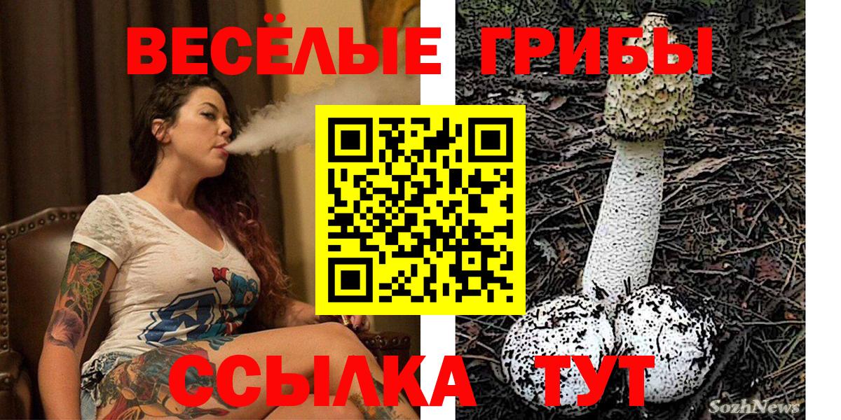 Галлюциногенные грибы ЛСД Новочебоксарск